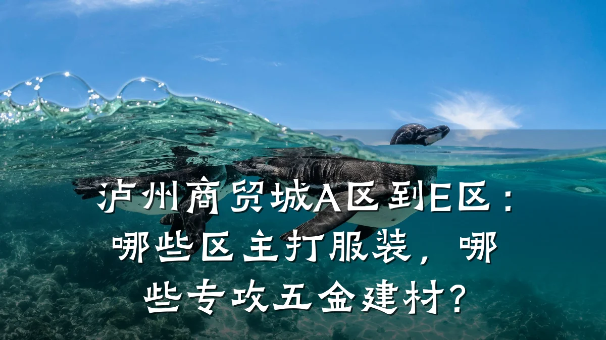 泸州商贸城A区到E区:哪些区主打服装,哪些专攻五金建材?
