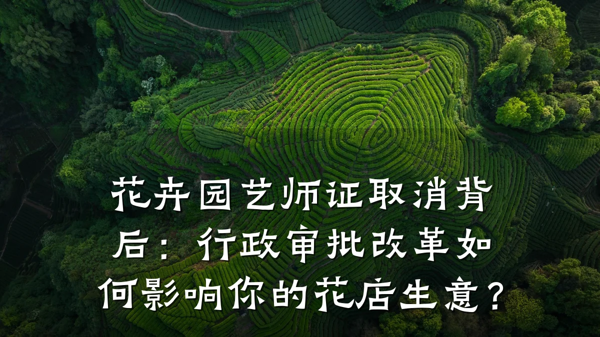 花卉园艺师证取消背后：行政审批改革如何影响你的花店生意？