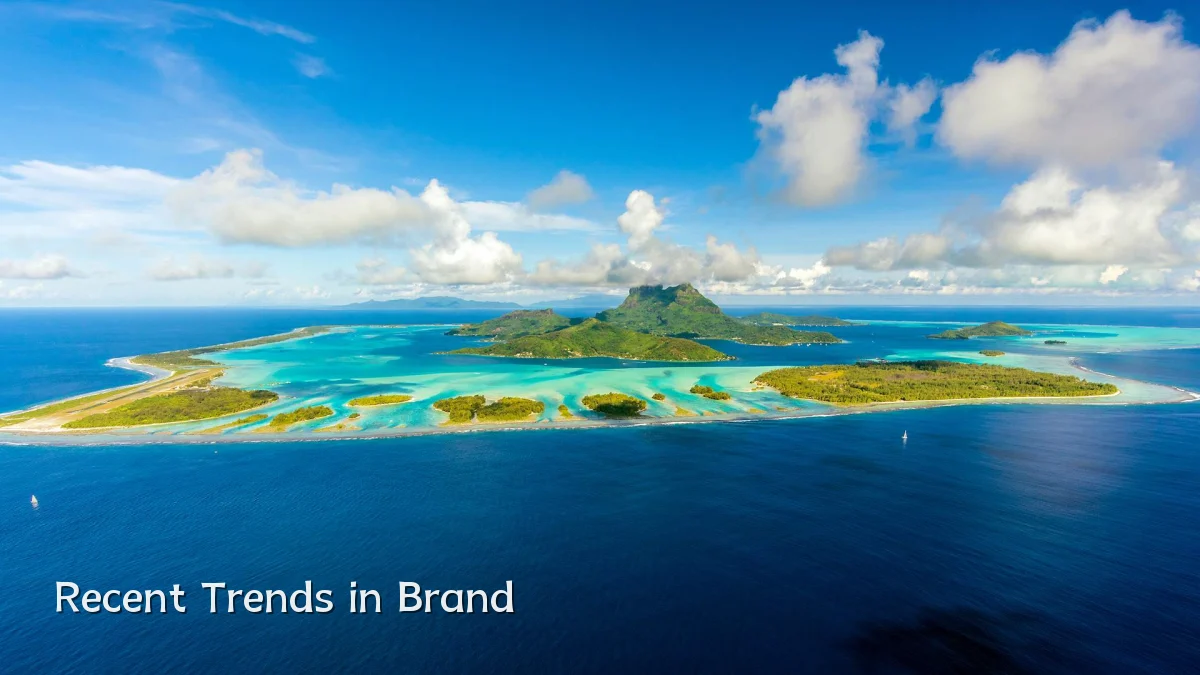 Recent Trends in Brand