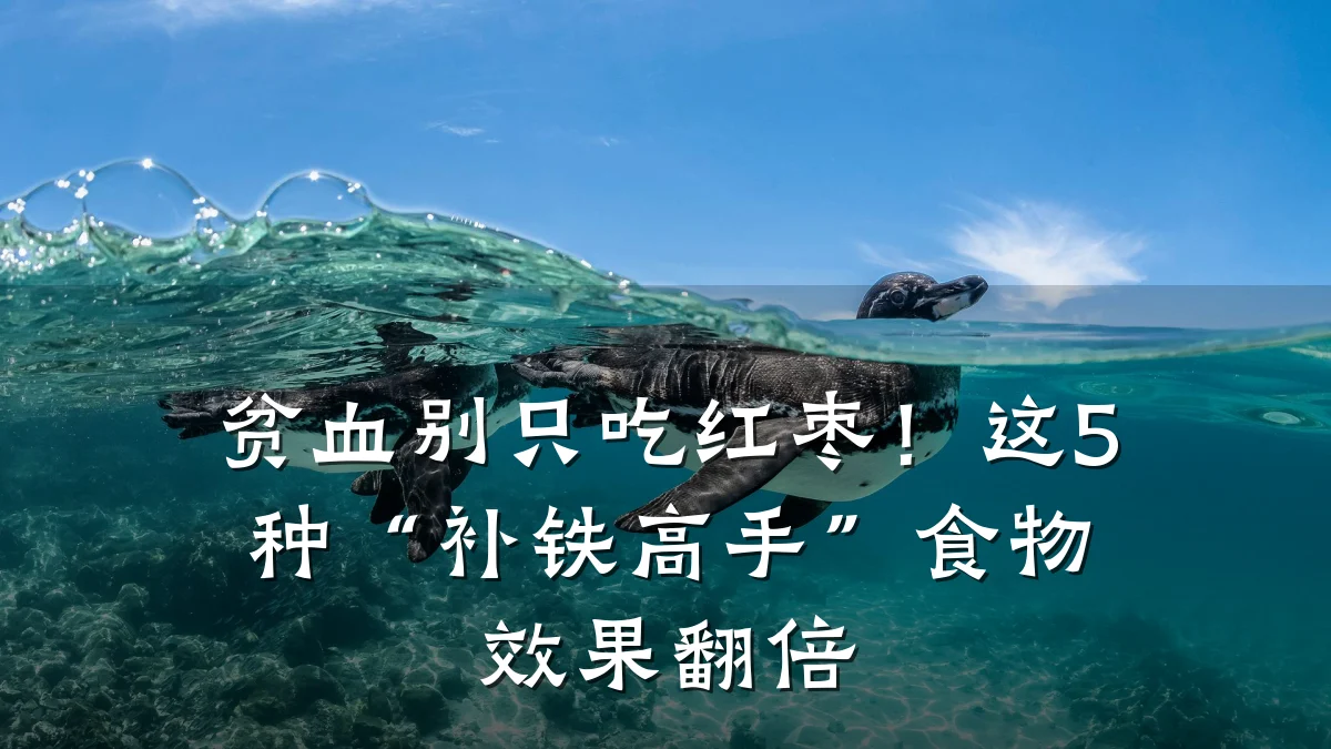 贫血别只吃红枣!这5种“补铁高手”食物效果翻倍