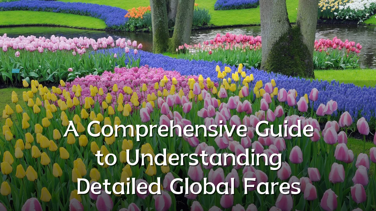 A Comprehensive Guide to Understanding Detailed Global Fares