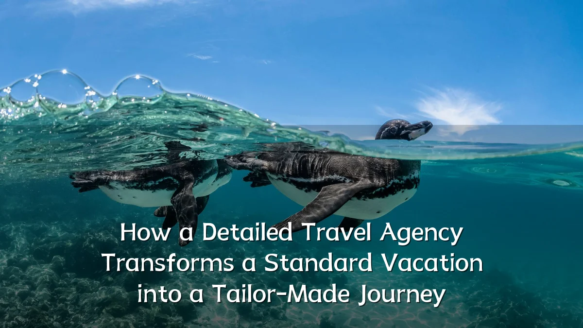 How a Detailed Travel Agency Transforms a Standard Vacation into a Tailor-Made Journey