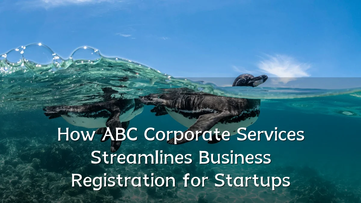 How ABC Corporate Services Streamlines Business Registration for Startups