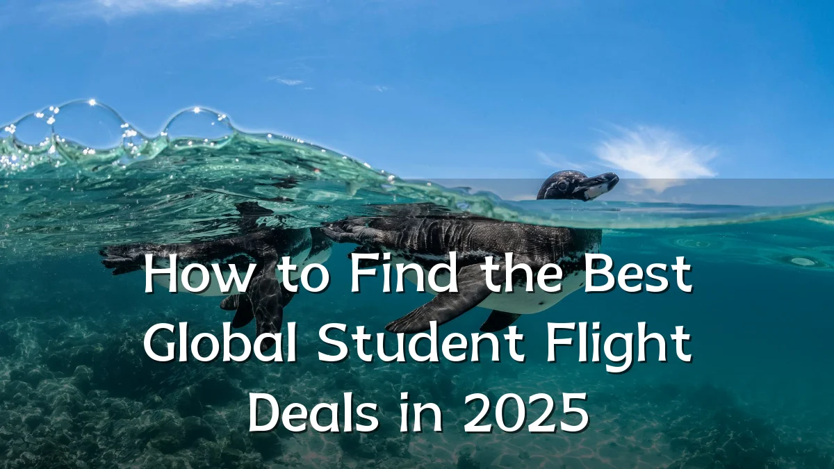 How to Find the Best Global Student Flight Deals in 2025