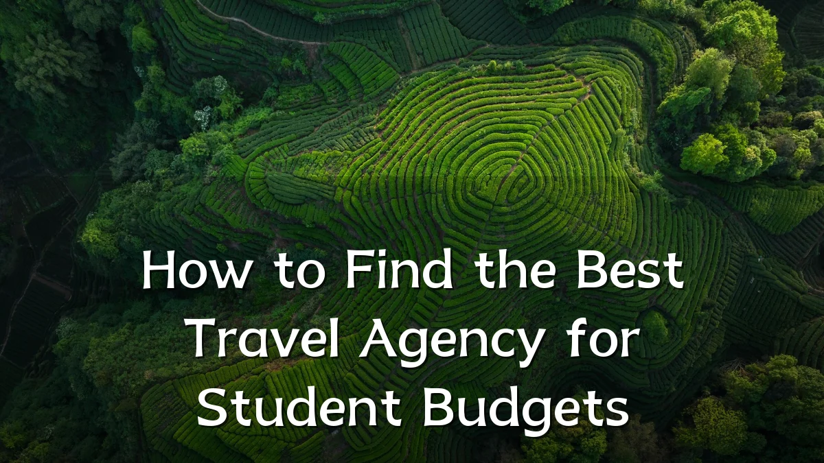 How to Find the Best Travel Agency for Student Budgets