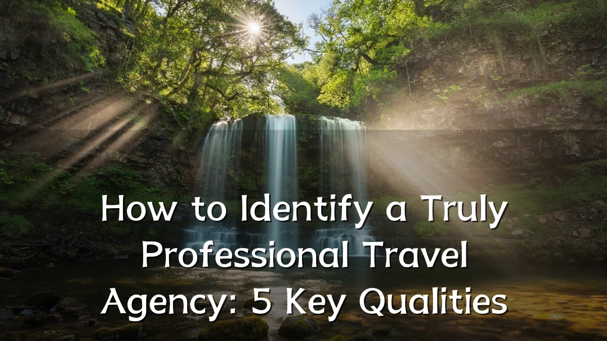 How to Identify a Truly Professional Travel Agency: 5 Key Qualities