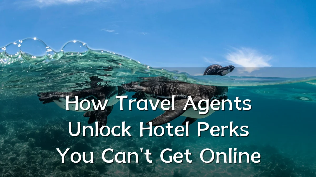 How Travel Agents Unlock Hotel Perks You Can't Get Online