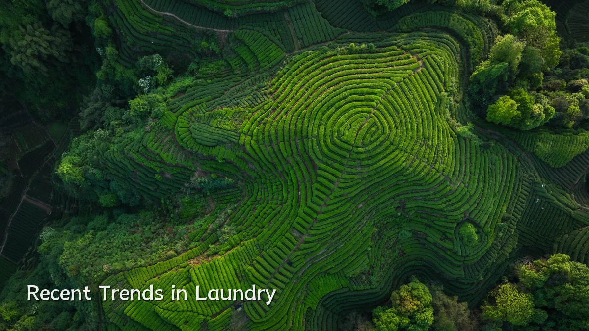 Recent Trends in Laundry