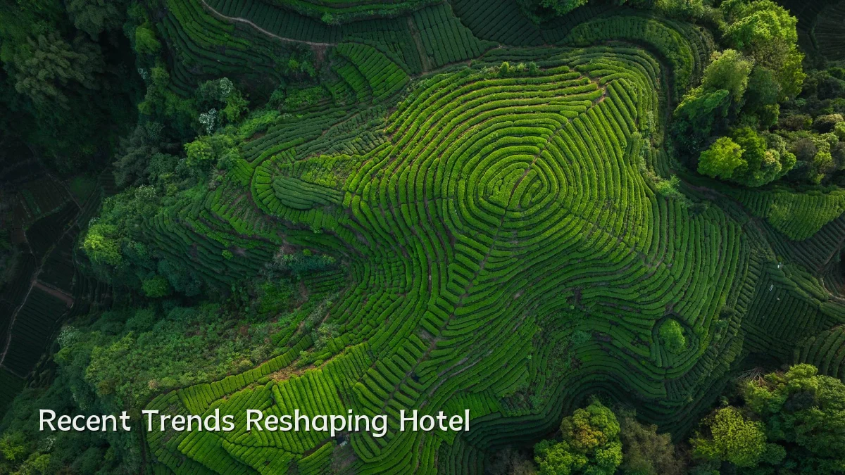 Recent Trends Reshaping Hotel