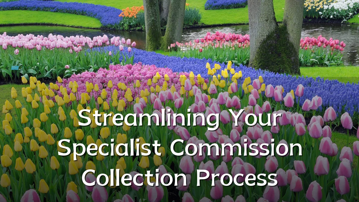 Streamlining Your Specialist Commission Collection Process
