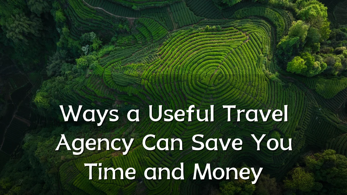 Ways a Useful Travel Agency Can Save You Time and Money