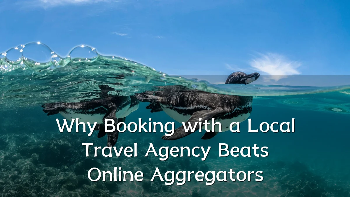 Why Booking with a Local Travel Agency Beats Online Aggregators