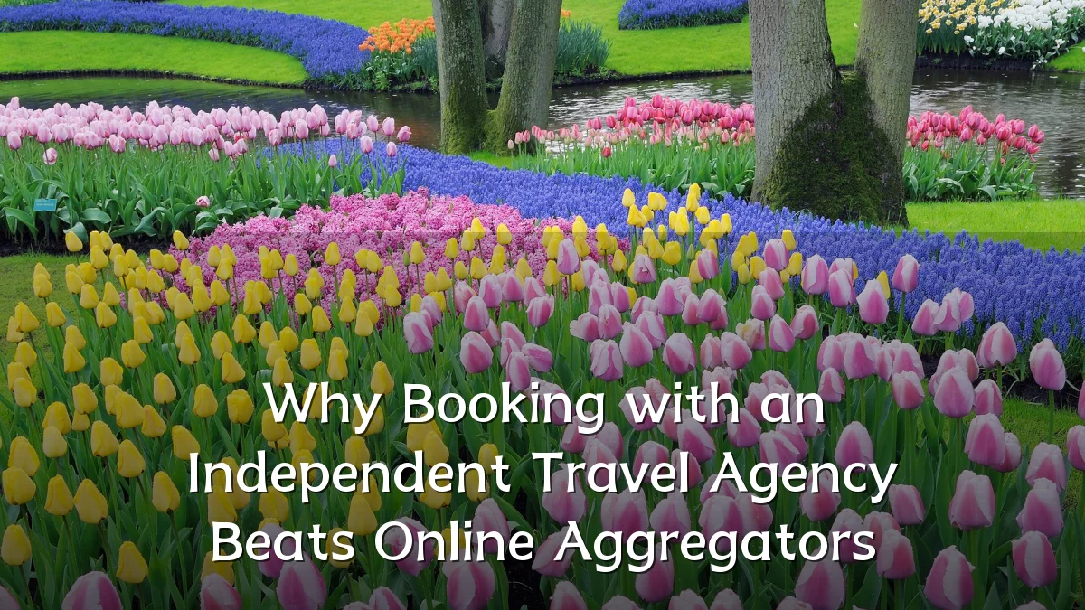 Why Booking with an Independent Travel Agency Beats Online Aggregators
