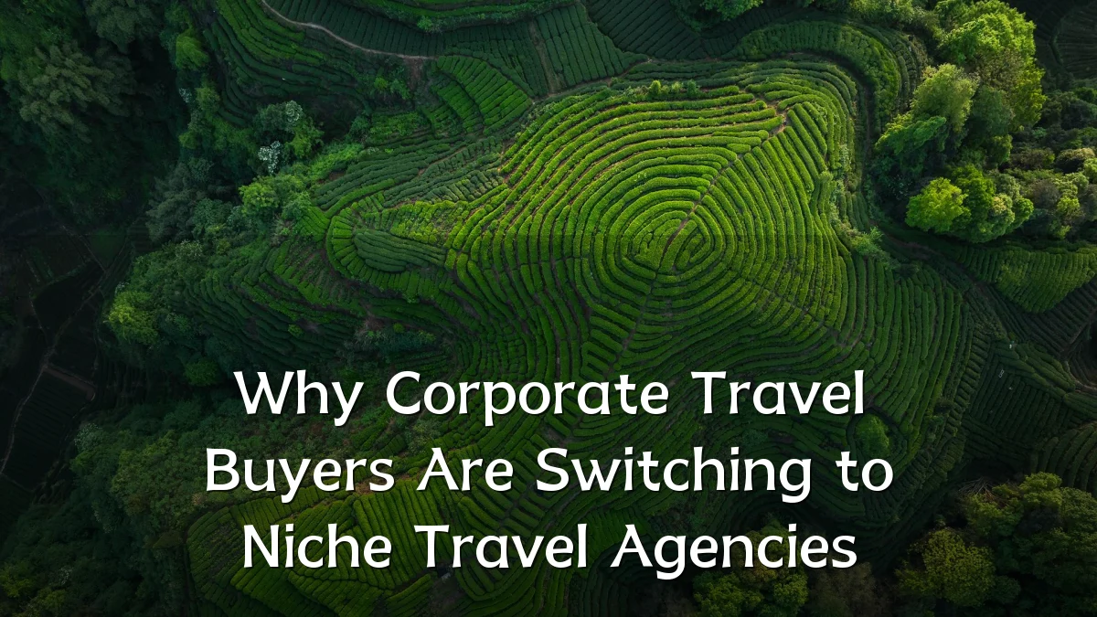 Why Corporate Travel Buyers Are Switching to Niche Travel Agencies