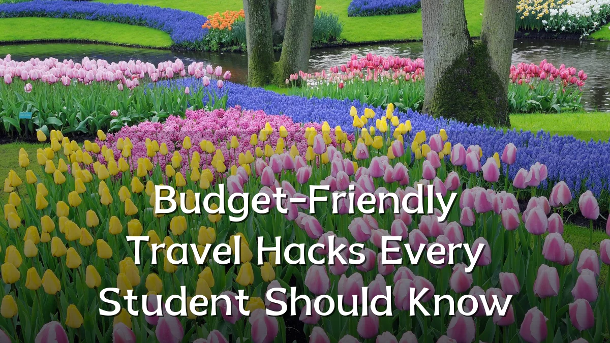 Budget-Friendly Travel Hacks Every Student Should Know