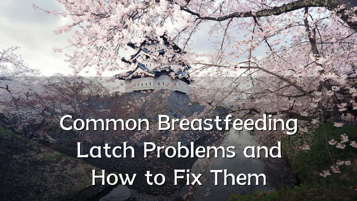 Common Breastfeeding Latch Problems and How to Fix Them