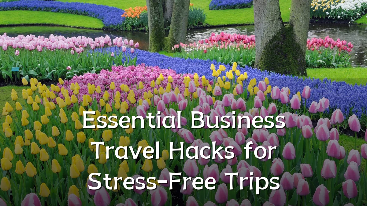 Essential Business Travel Hacks for Stress-Free Trips