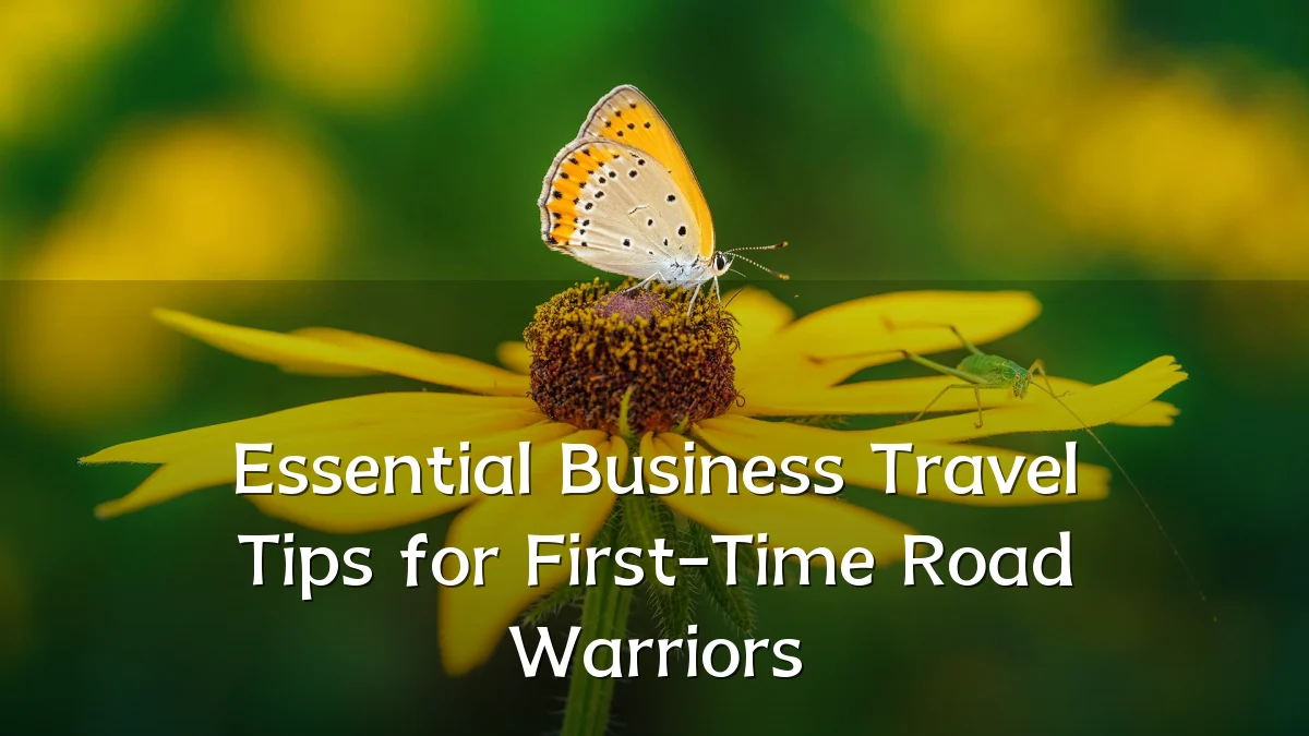 Essential Business Travel Tips for First-Time Road Warriors