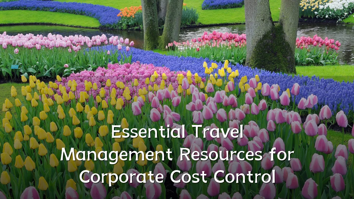 Essential Travel Management Resources for Corporate Cost Control