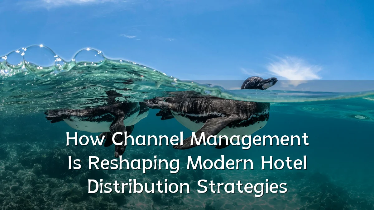 How Channel Management Is Reshaping Modern Hotel Distribution Strategies