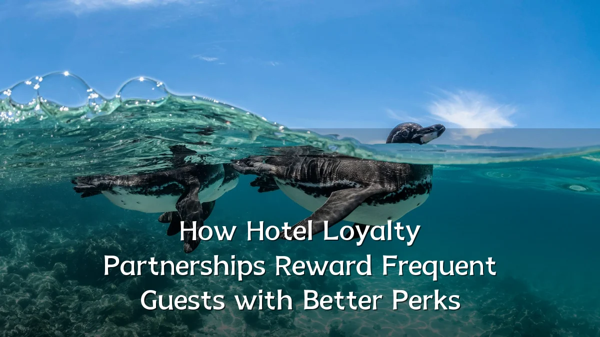 How Hotel Loyalty Partnerships Reward Frequent Guests with Better Perks