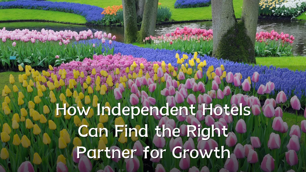 How Independent Hotels Can Find the Right Partner for Growth