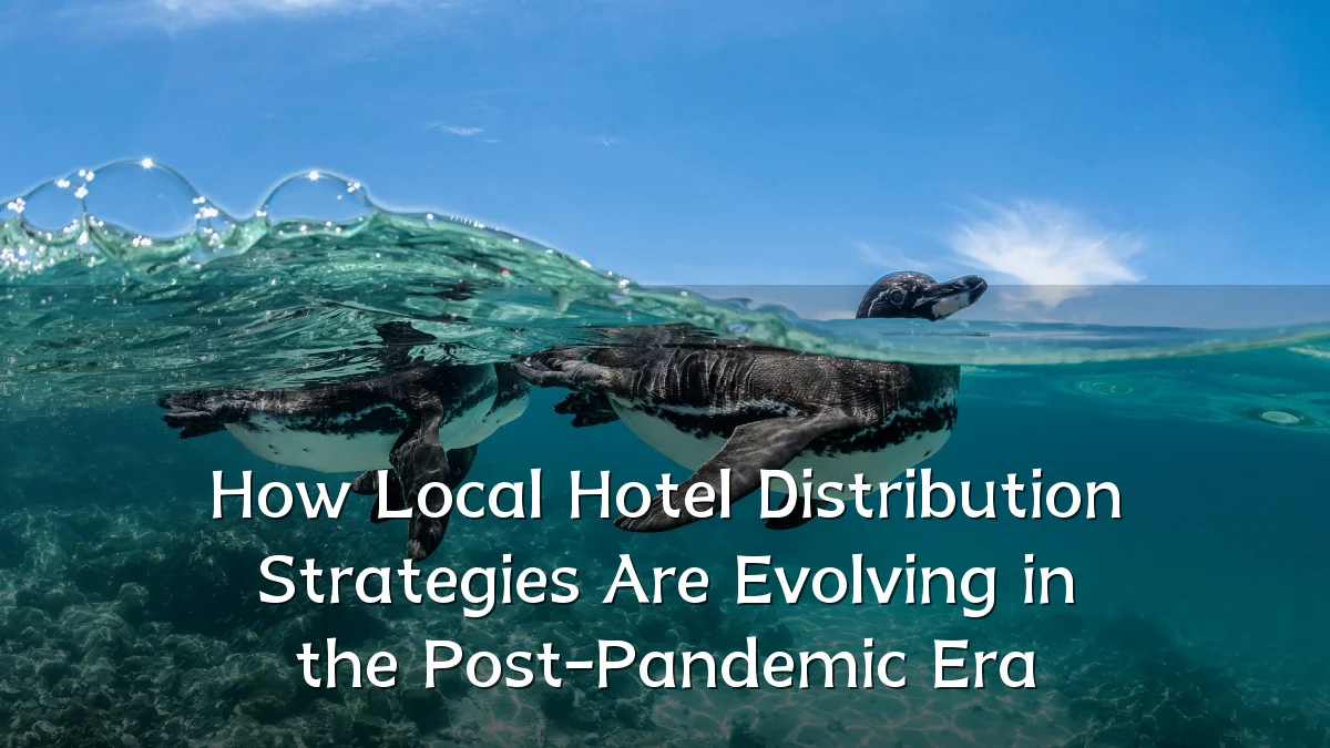 How Local Hotel Distribution Strategies Are Evolving in the Post-Pandemic Era