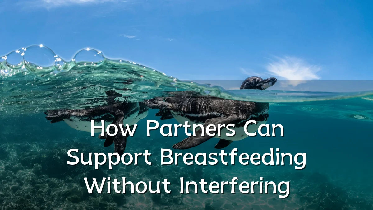 How Partners Can Support Breastfeeding Without Interfering