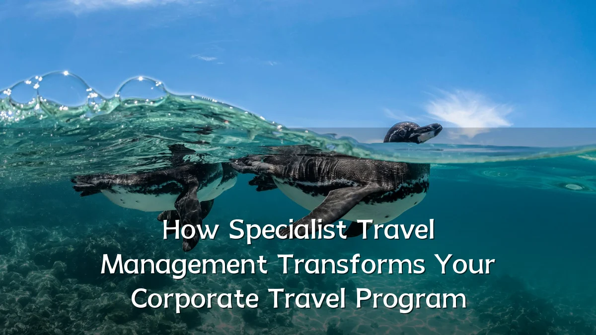 How Specialist Travel Management Transforms Your Corporate Travel Program