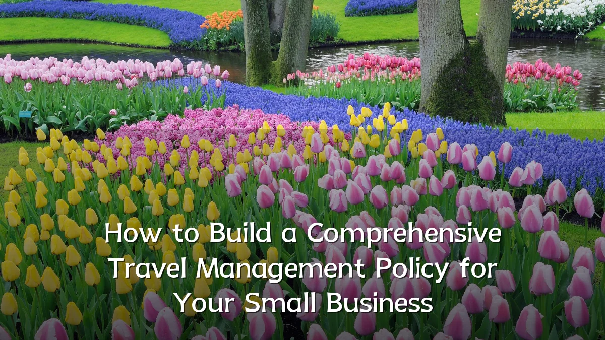 How to Build a Comprehensive Travel Management Policy for Your Small Business