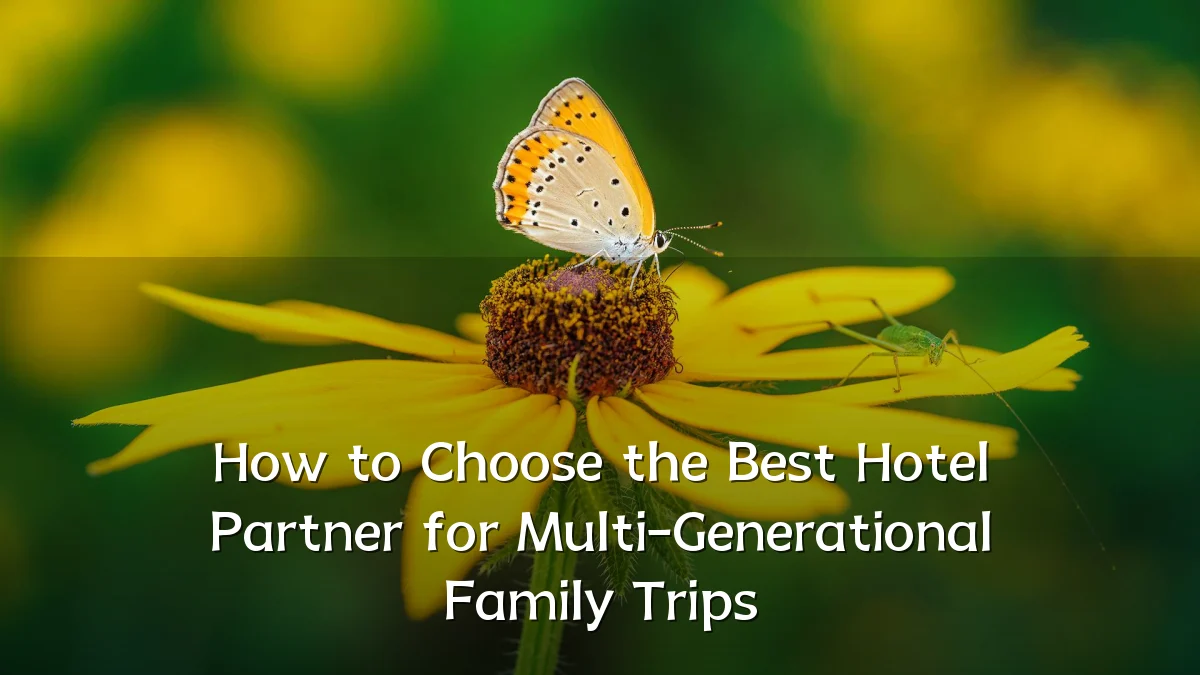 How to Choose the Best Hotel Partner for Multi-Generational Family Trips