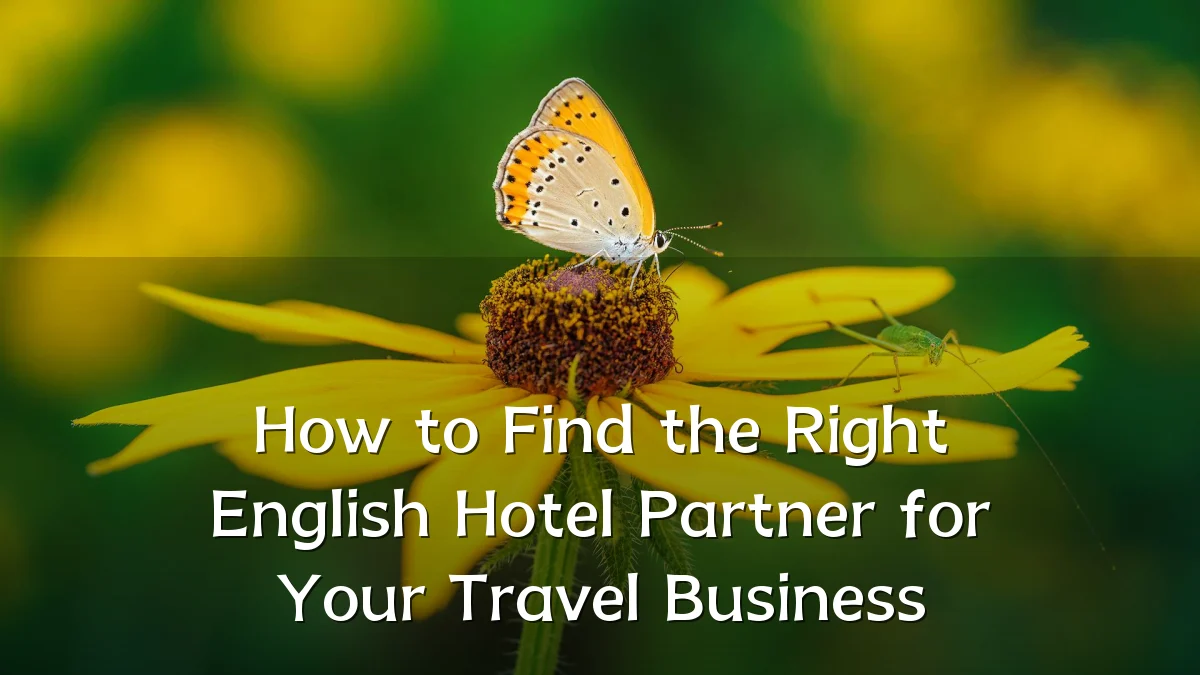 How to Find the Right English Hotel Partner for Your Travel Business