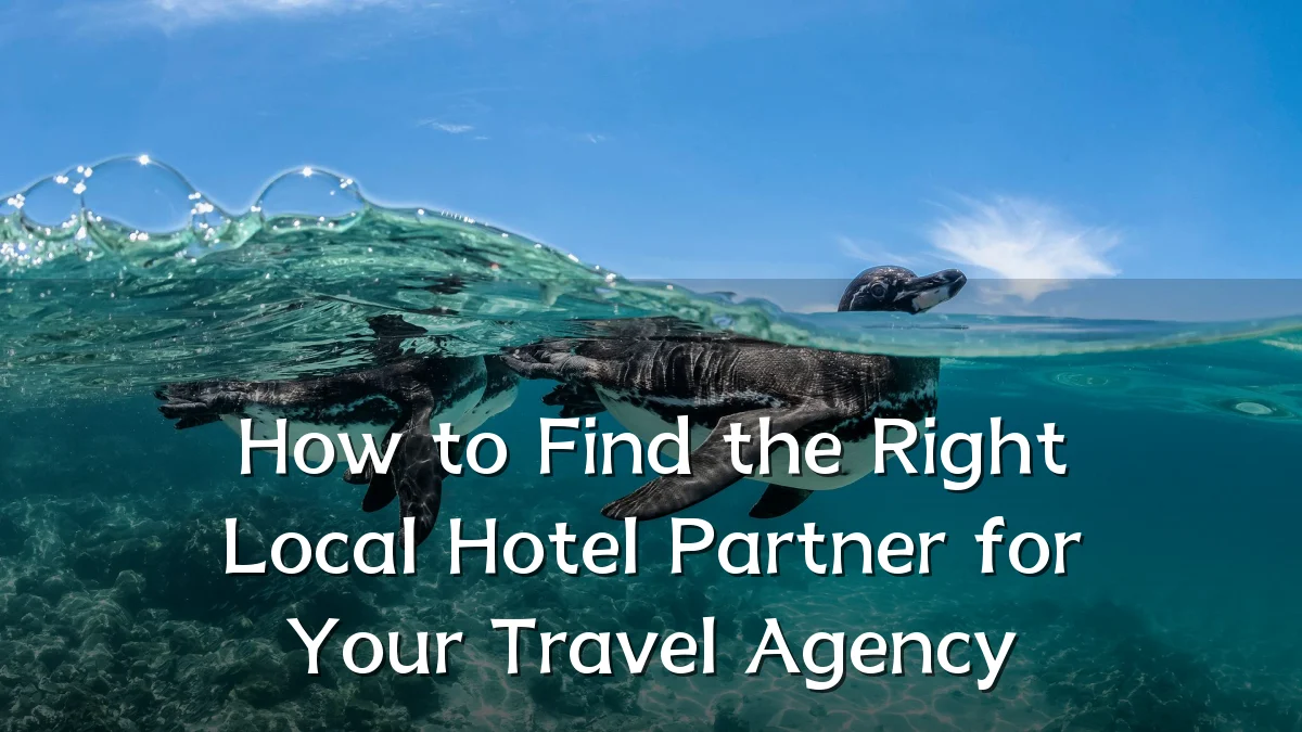 How to Find the Right Local Hotel Partner for Your Travel Agency