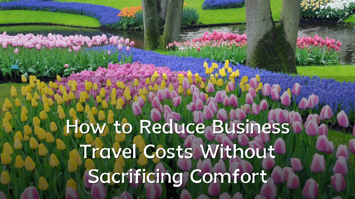 How to Reduce Business Travel Costs Without Sacrificing Comfort