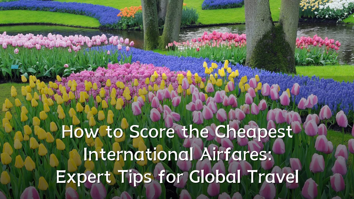 How to Score the Cheapest International Airfares: Expert Tips for Global Travel