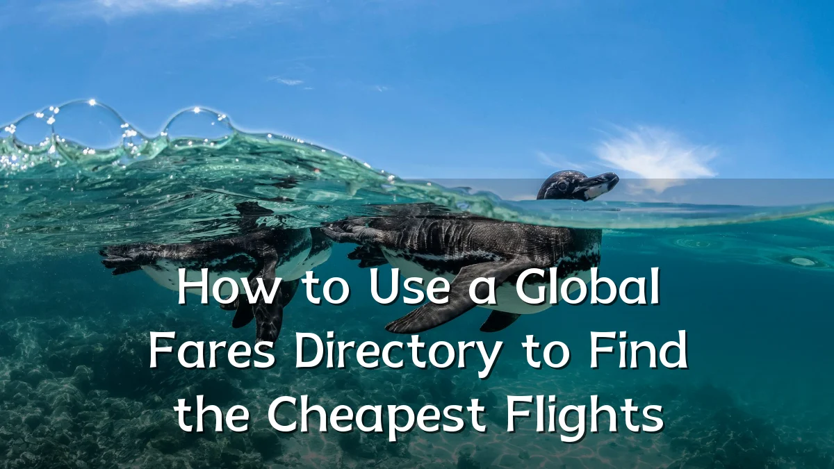 How to Use a Global Fares Directory to Find the Cheapest Flights