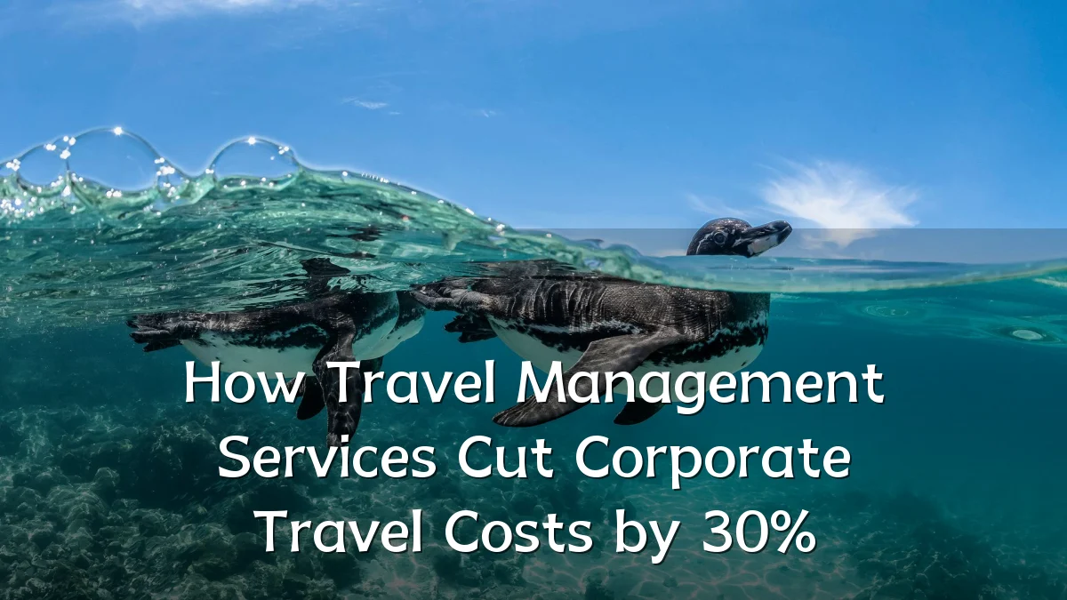 How Travel Management Services Cut Corporate Travel Costs by 30%