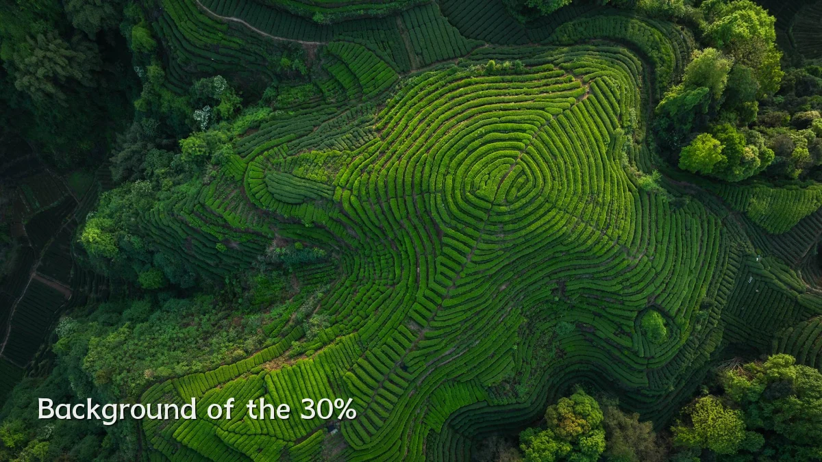 Background of the 30%
