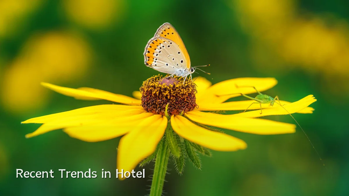 Recent Trends in Hotel
