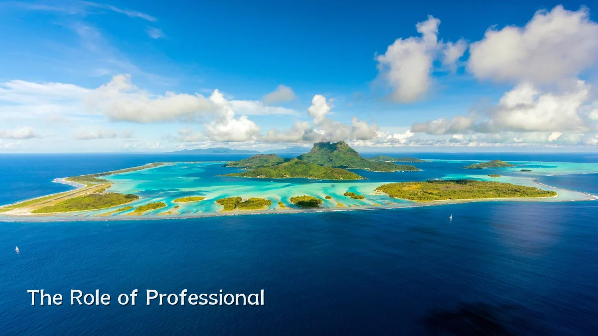 The Role of Professional