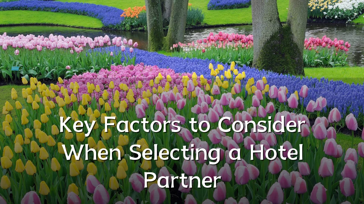 Key Factors to Consider When Selecting a Hotel Partner