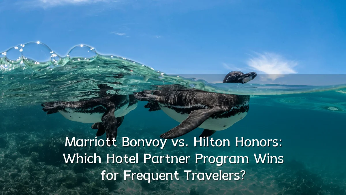 Marriott Bonvoy vs. Hilton Honors: Which Hotel Partner Program Wins for Frequent Travelers?