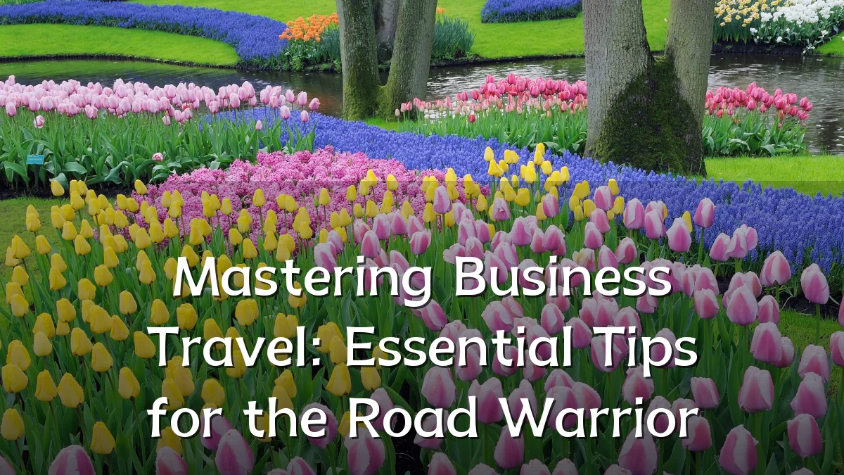 Mastering Business Travel: Essential Tips for the Road Warrior