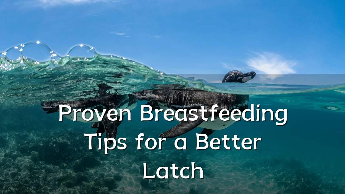 Proven Breastfeeding Tips for a Better Latch