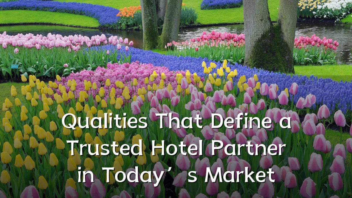 Qualities That Define a Trusted Hotel Partner in Today’s Market