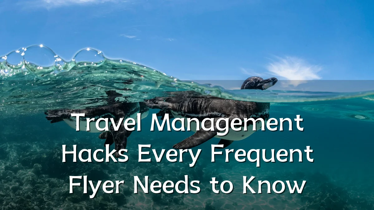 Travel Management Hacks Every Frequent Flyer Needs to Know