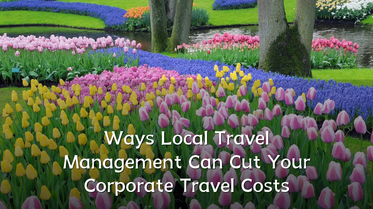 Ways Local Travel Management Can Cut Your Corporate Travel Costs