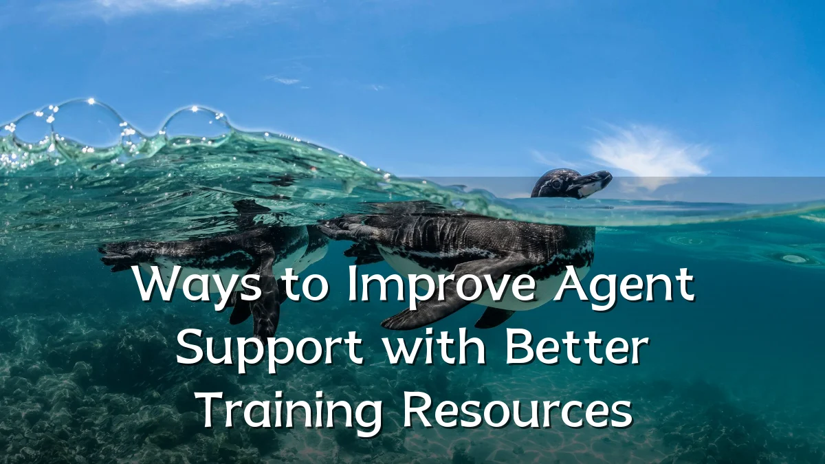 Ways to Improve Agent Support with Better Training Resources