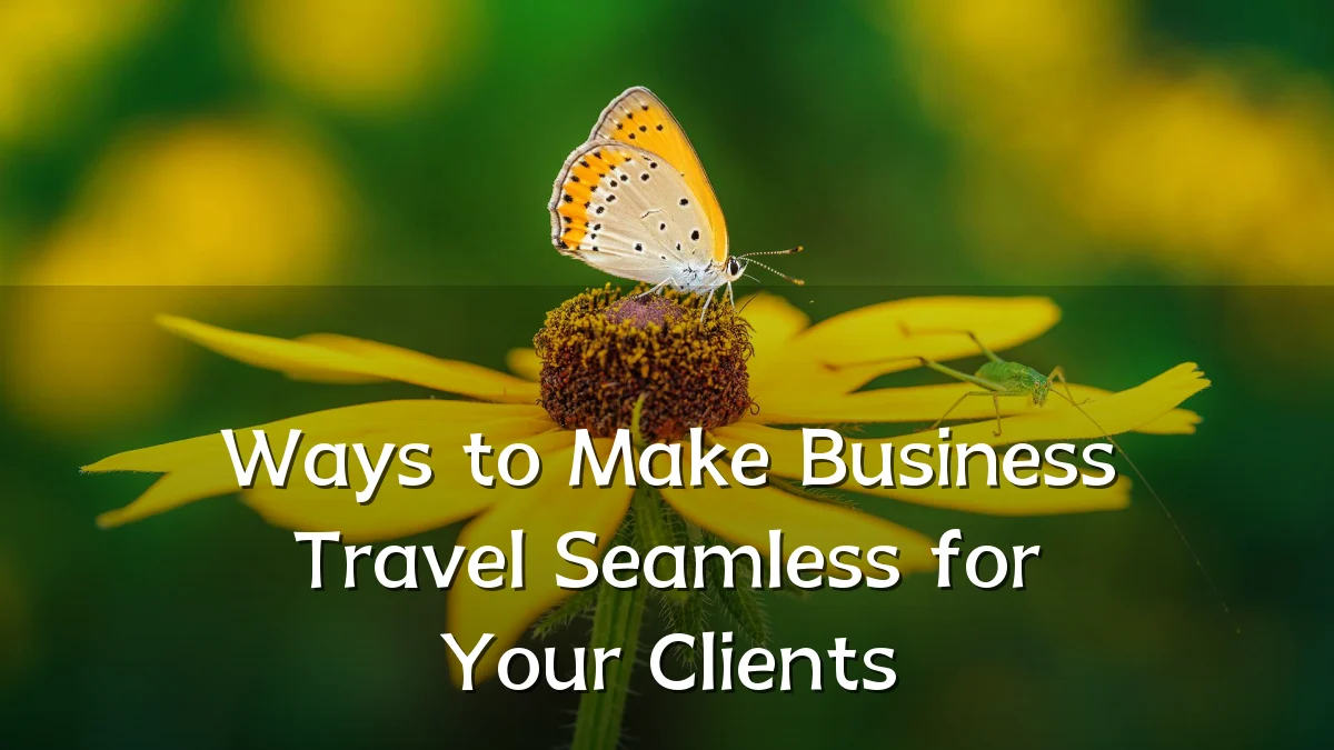 Ways to Make Business Travel Seamless for Your Clients