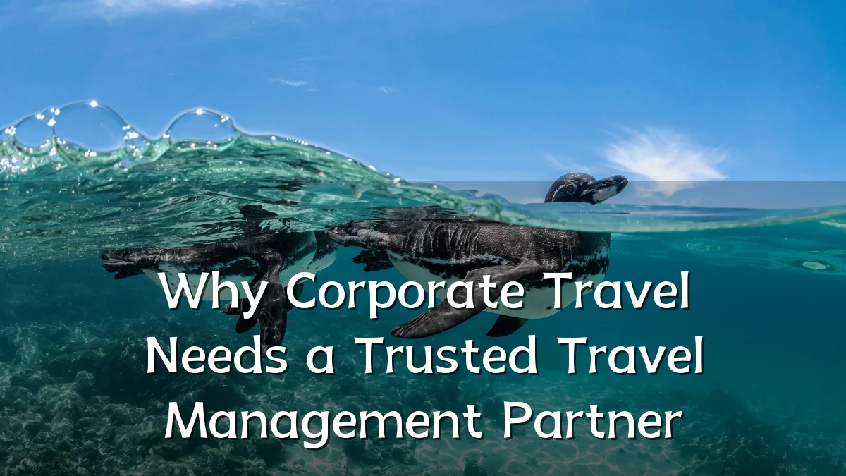 Why Corporate Travel Needs a Trusted Travel Management Partner